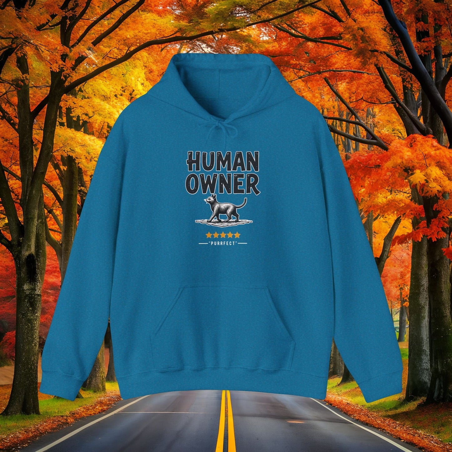 Printify Hoodie Antique Sapphire / S HUMAN OWNER 🐈 Hoodie