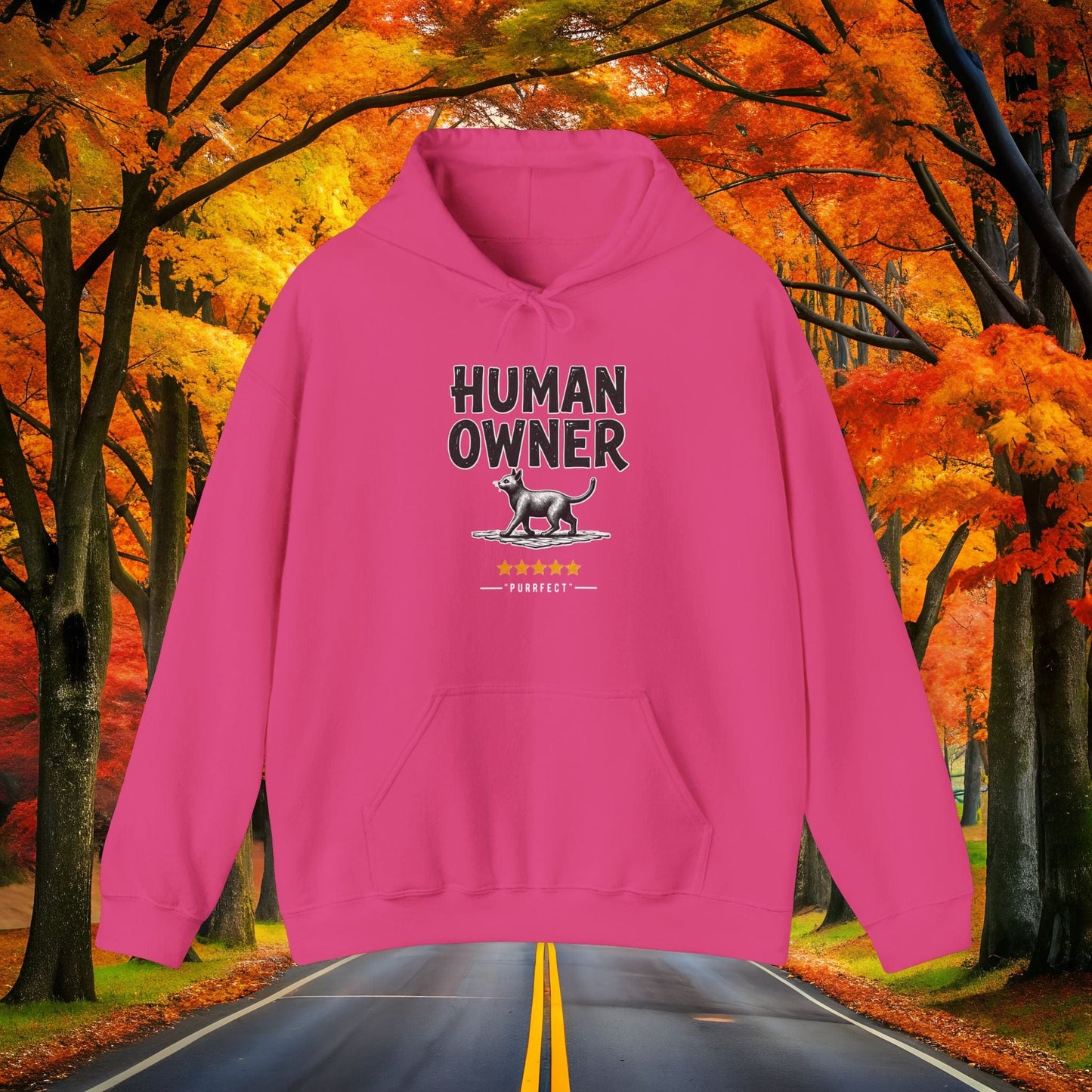 Printify Hoodie Heliconia / S HUMAN OWNER 🐈 Hoodie