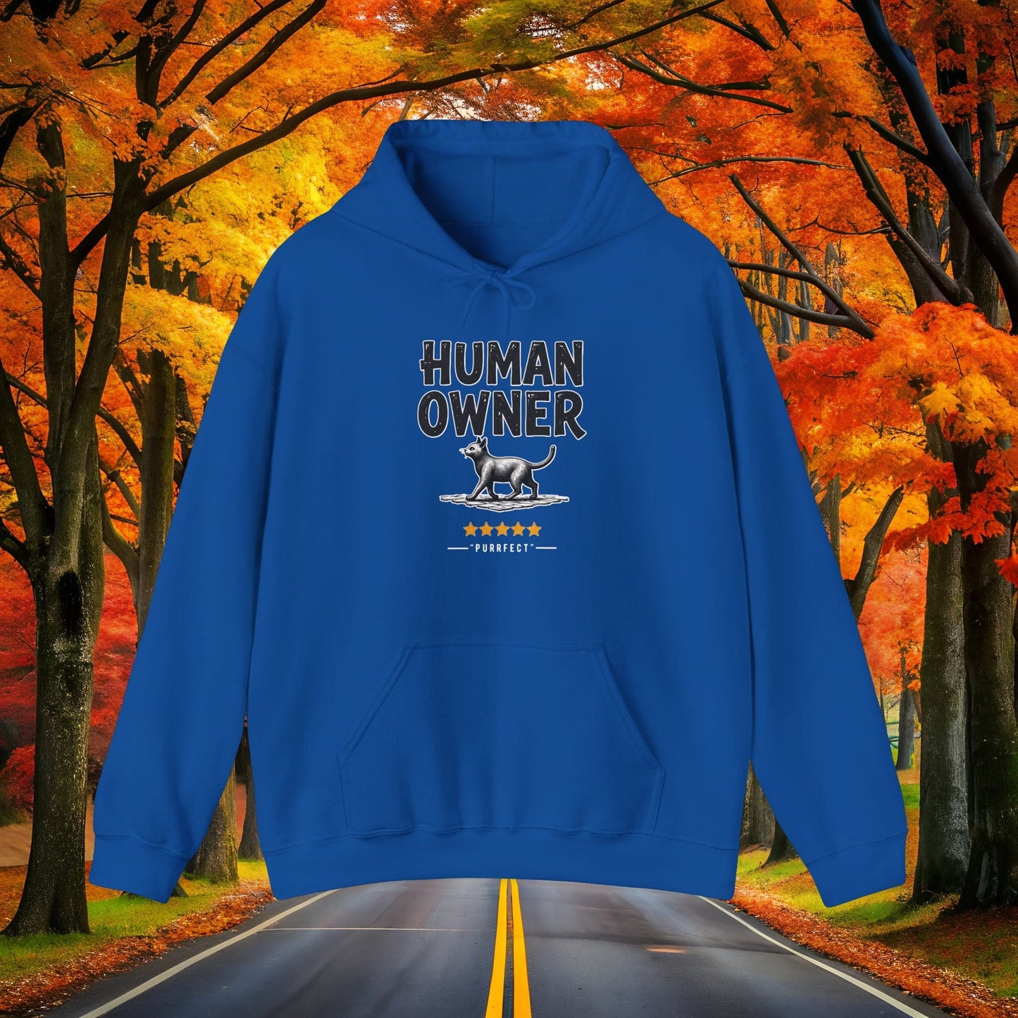 Printify Hoodie Royal / S HUMAN OWNER 🐈 Hoodie