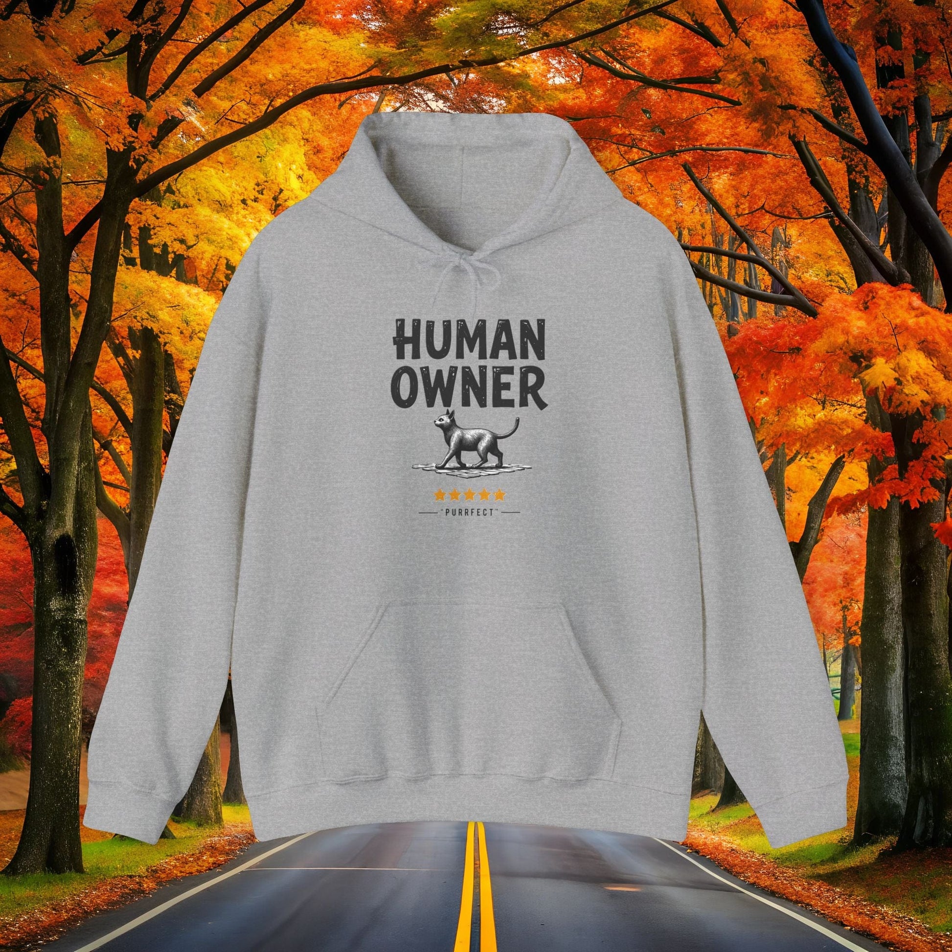 Printify Hoodie Sport Grey / S HUMAN OWNER 🐈 Hoodie