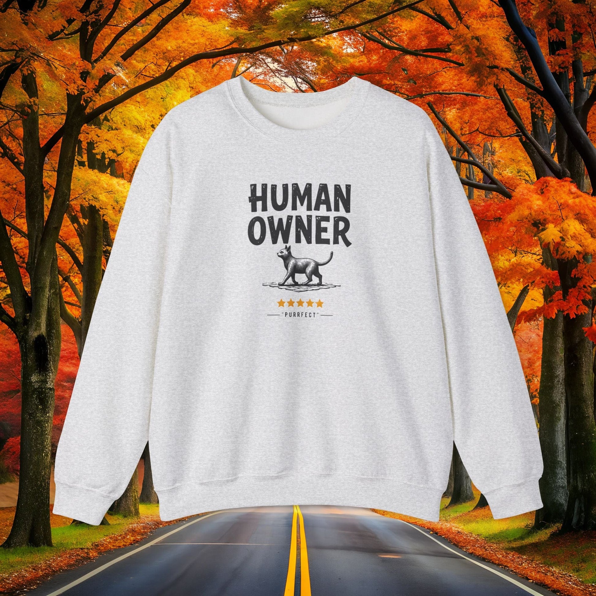 Printify Sweatshirt S / Ash HUMAN-OWNER 5⭐️ Review Vintage Crewneck