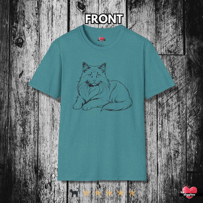 Printify T-Shirt Heather Galapagos Blue / S 🐈‍⬛ Pretty CATS 🐈 Purrfect Pose